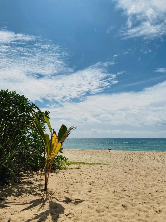 Sanjis The Seaside Cabanas Tangalle Luaran gambar
