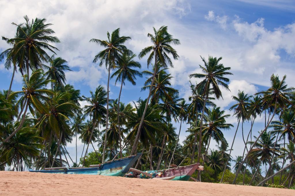 Sanjis The Seaside Cabanas Tangalle Luaran gambar